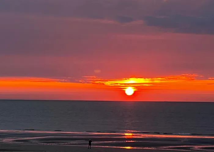 Apartment Zeevonk Panoramic Sea View *